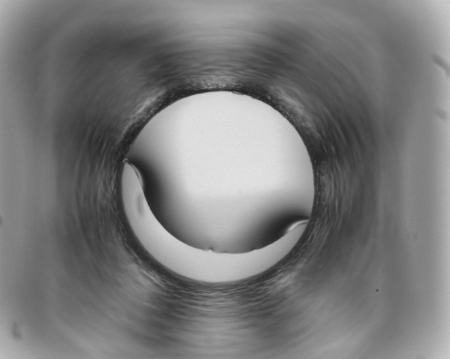 X0000095890308200802011112