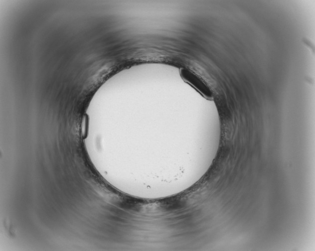 X0000095890309200802011112