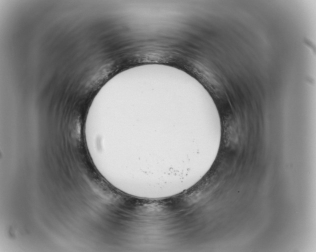 X0000095890310200802011112