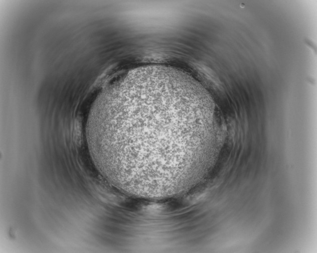X0000095890312200802011112