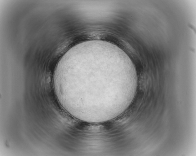 X0000095890314200802011112
