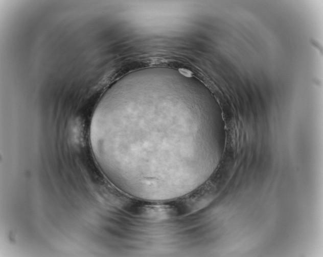 X0000095890316200802011112
