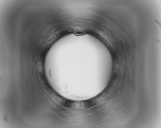 X0000095890317200802011112