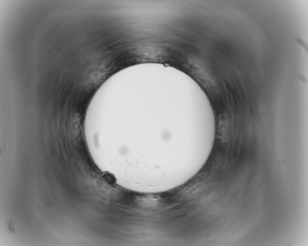 X0000095890318200802011112