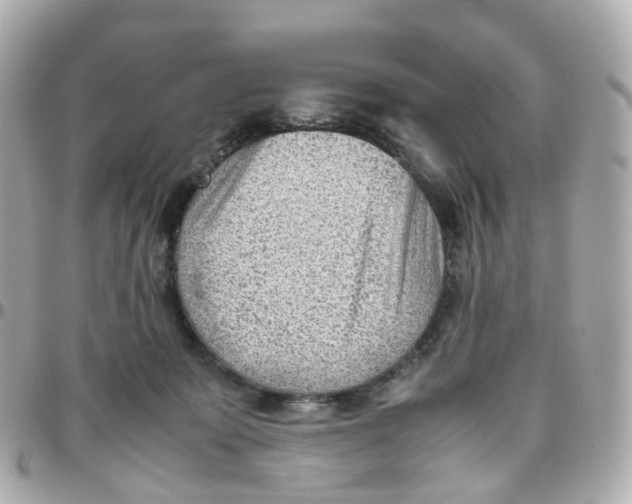 X0000095890319200802011112