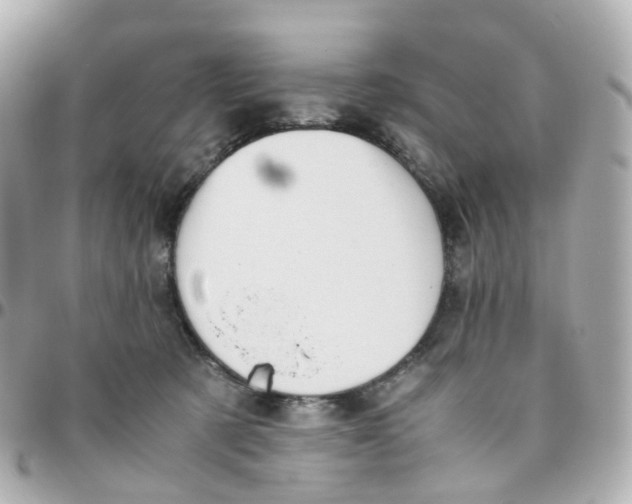 X0000095890321200802011112