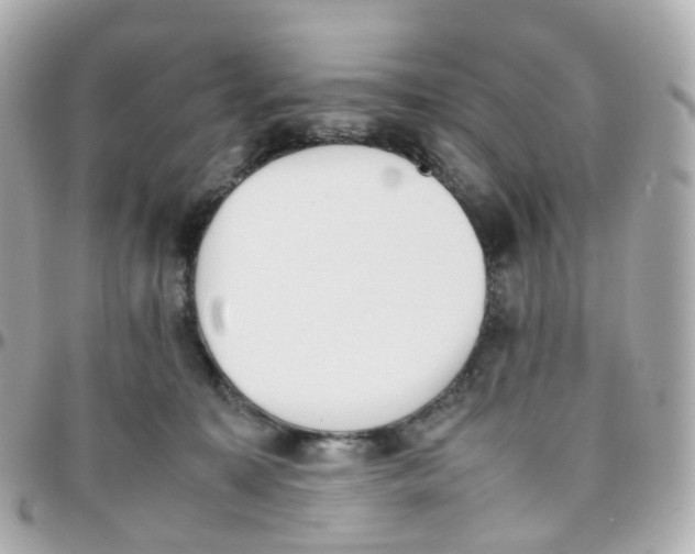 X0000095890323200802011112