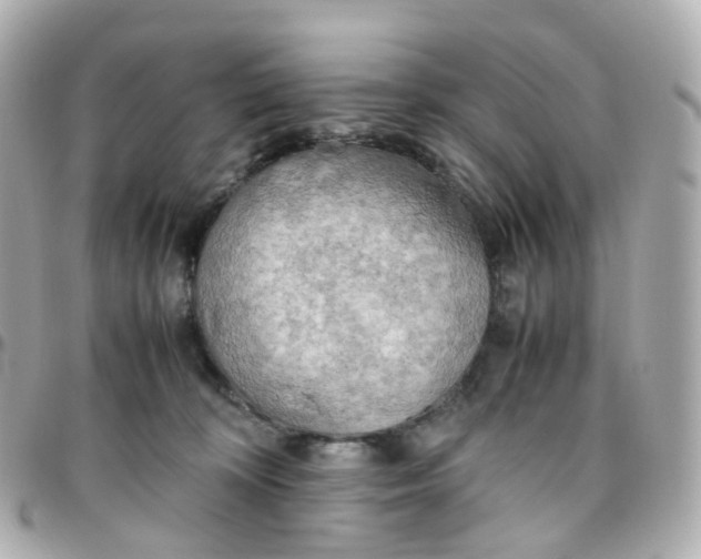 X0000095890324200802011112