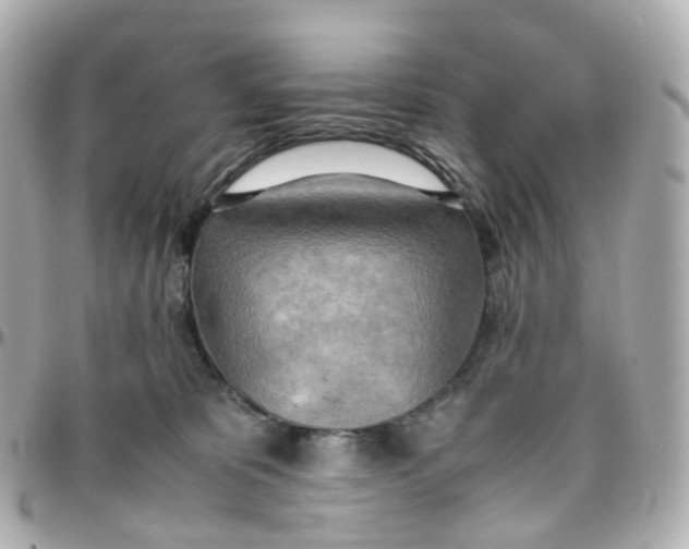 X0000095890325200802011112
