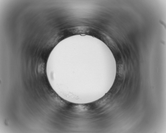 X0000095890326200802011112