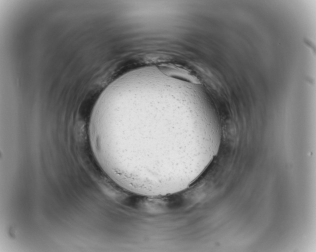 X0000095890327200802011112