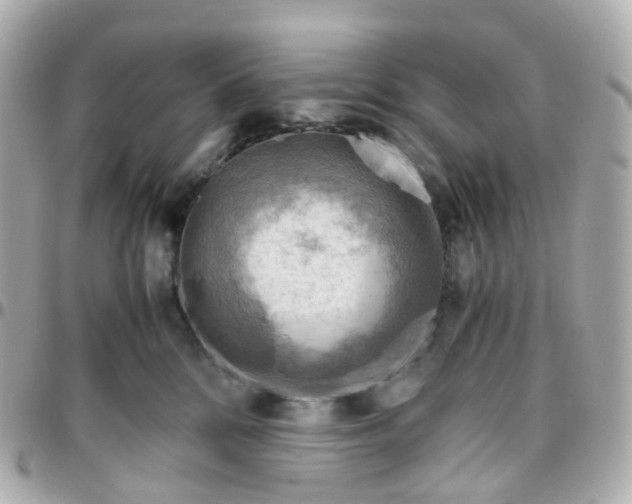 X0000095890328200802011112