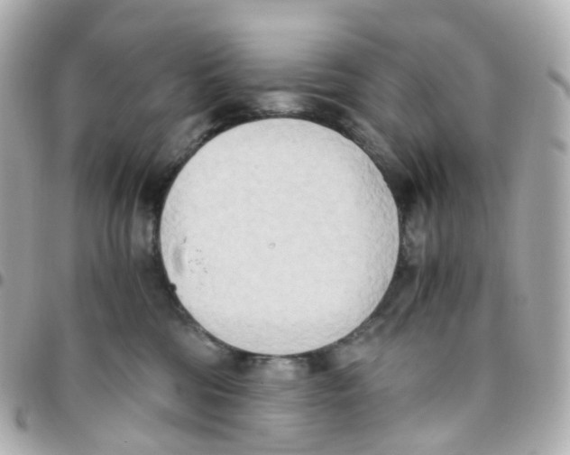 X0000095890330200802011112