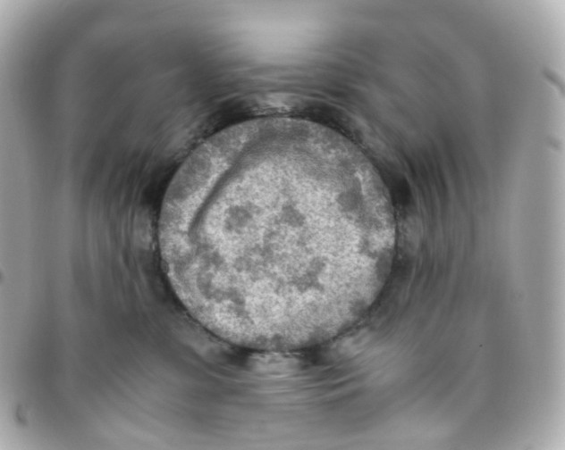 X0000095890331200802011112