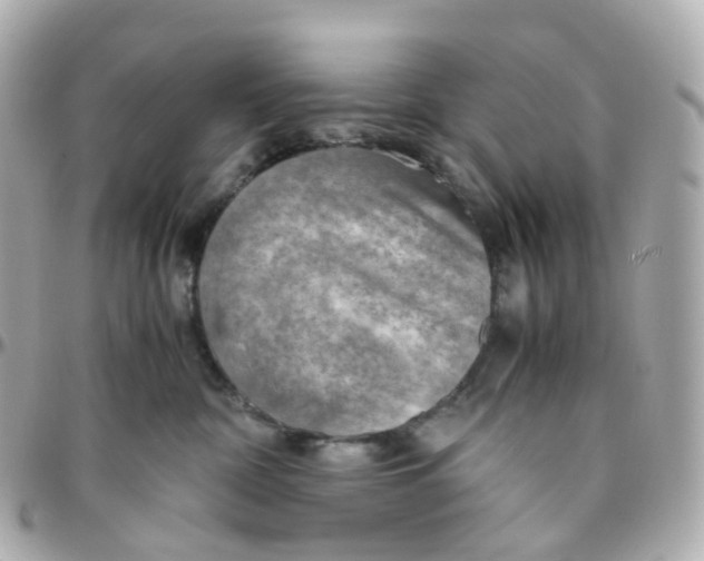 X0000095890332200802011112