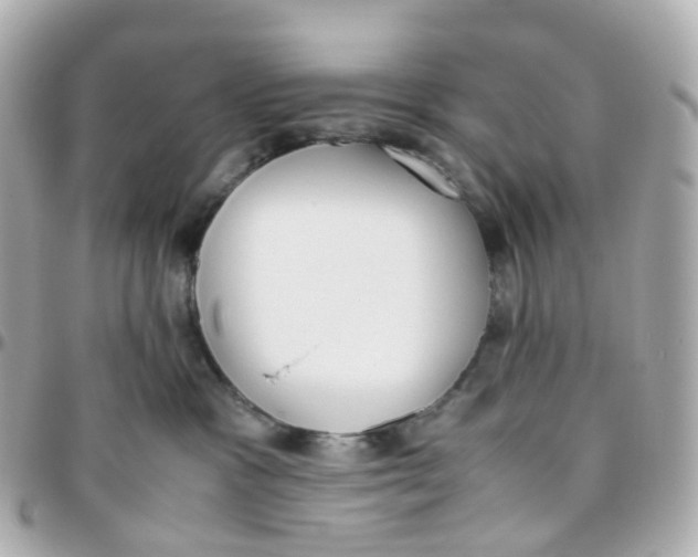 X0000095890333200802011112