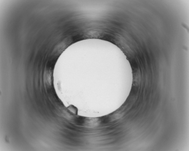 X0000095890334200802011112