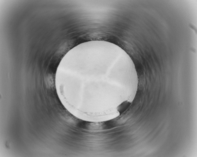 X0000095890335200802011112
