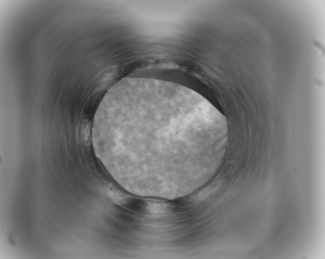 X0000095890336200802011112