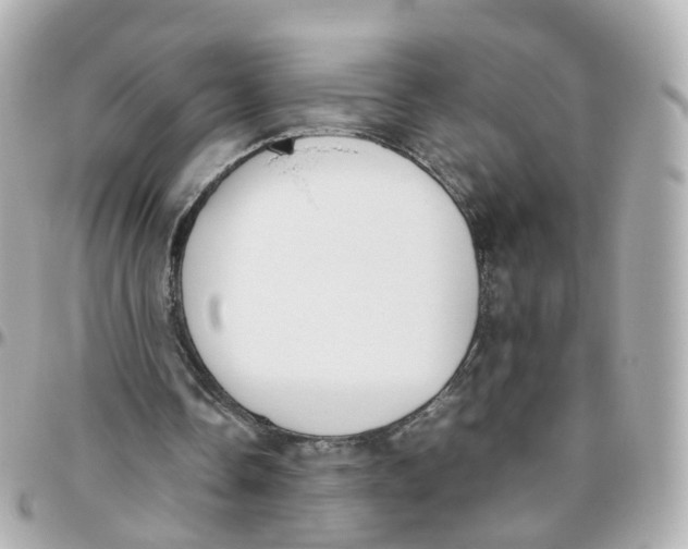 X0000095890338200802011111