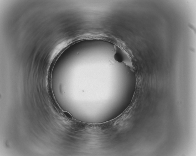 X0000095890340200802011111