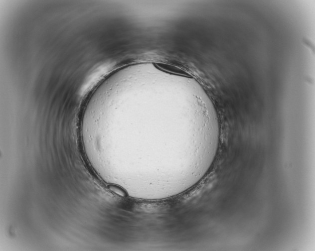 X0000095890341200802011111