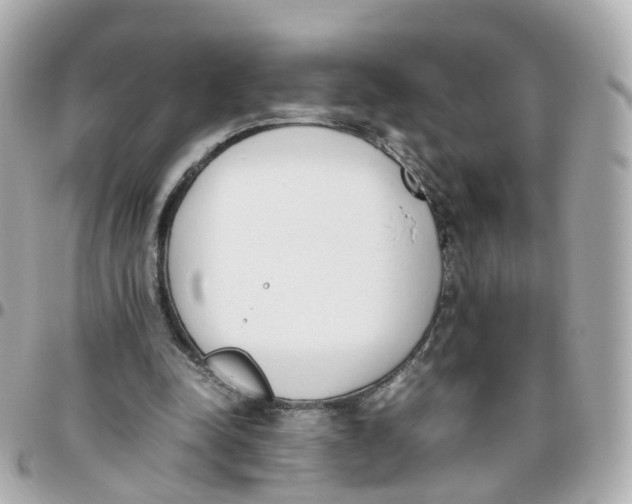 X0000095890342200802011111