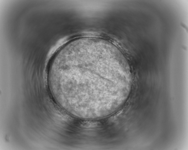 X0000095890343200802011111