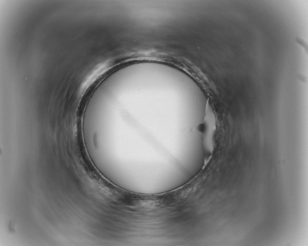 X0000095890344200802011111