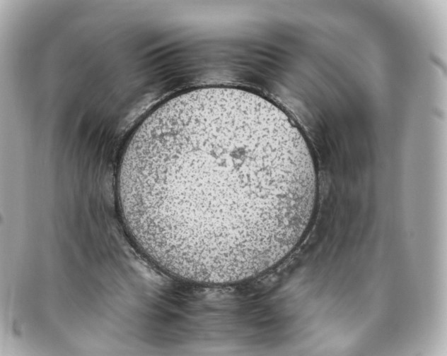 X0000095890345200802011111