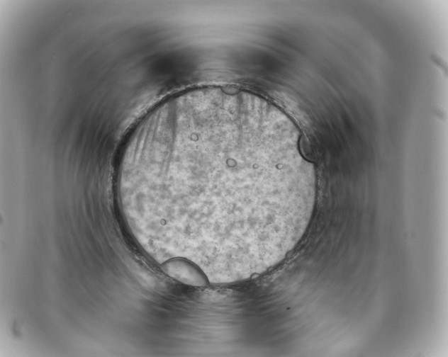 X0000095890346200802011111
