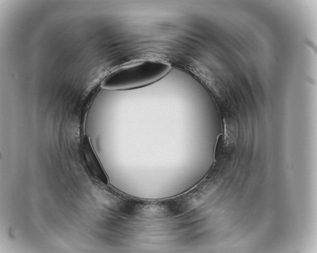 X0000095890348200802011111