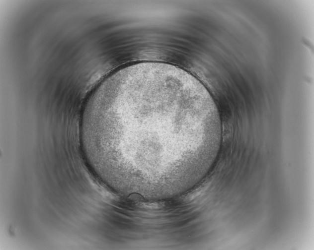 X0000095890349200802011111