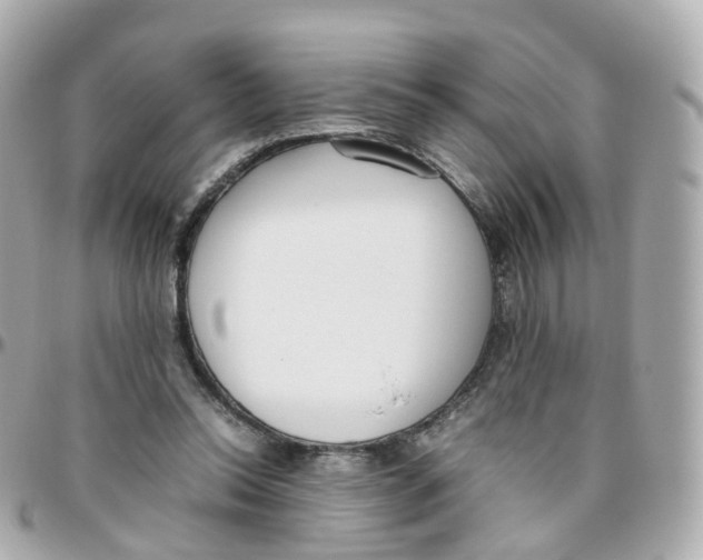 X0000095890350200802011111