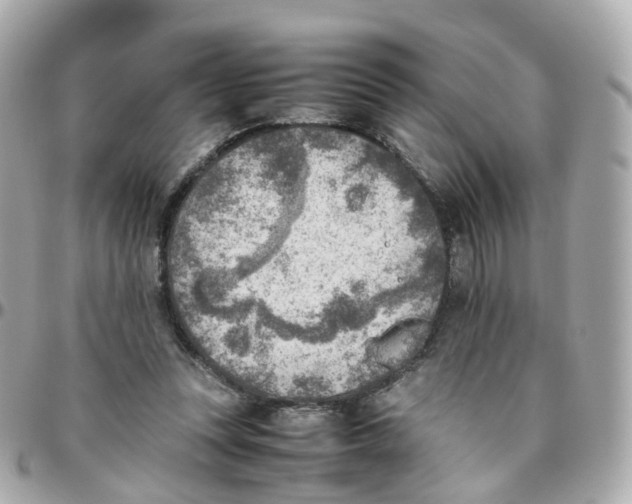 X0000095890351200802011111