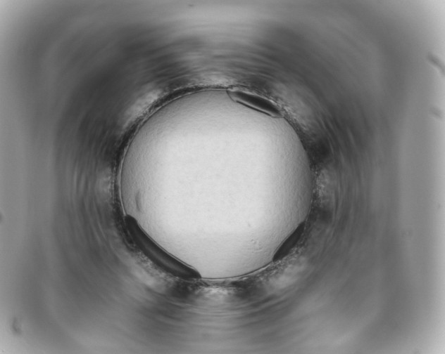 X0000095890352200802011111