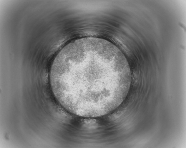 X0000095890355200802011111