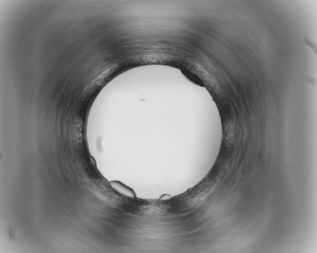 X0000095890356200802011111