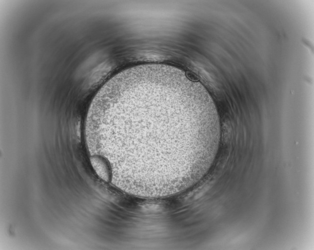 X0000095890358200802011111