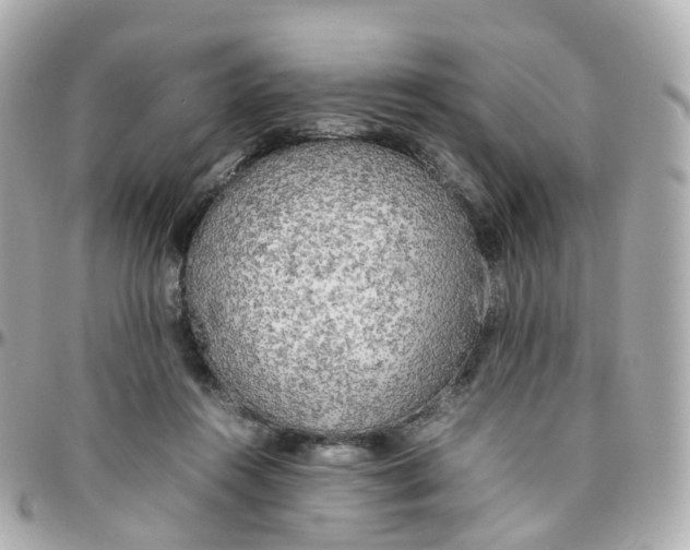 X0000095890360200802011111