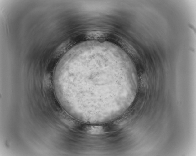 X0000095890361200802011111