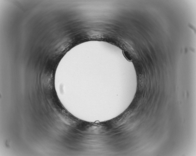 X0000095890364200802011111
