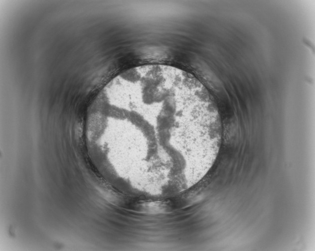 X0000095890365200802011111
