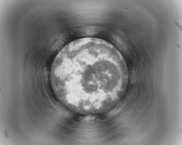X0000095890366200802011111
