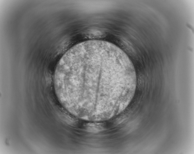 X0000095890367200802011111
