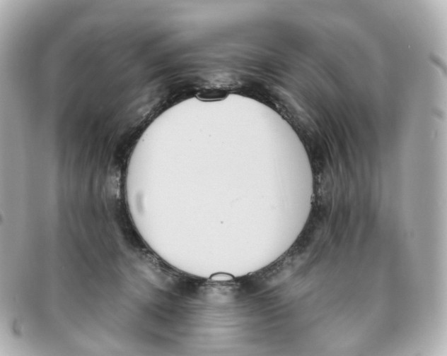 X0000095890368200802011111