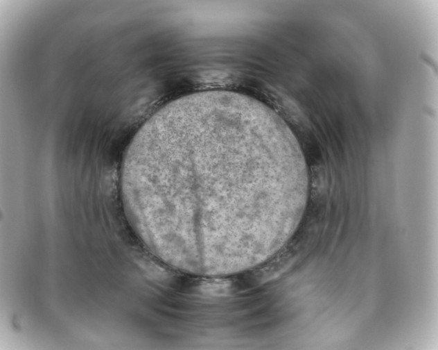 X0000095890369200802011111