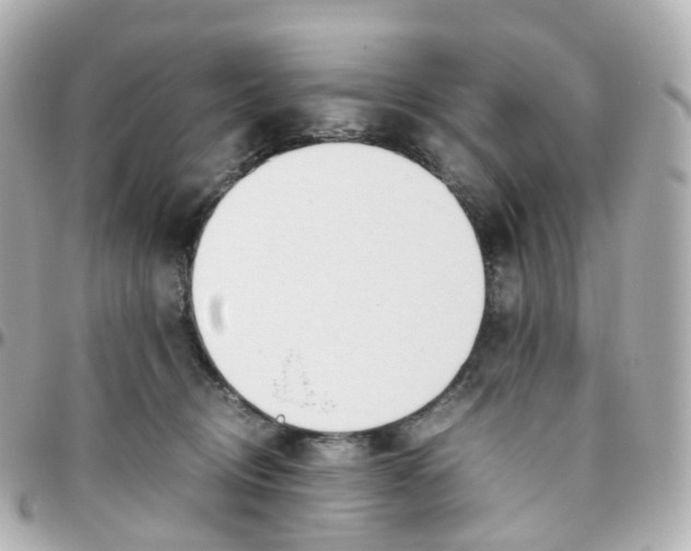 X0000095890370200802011111