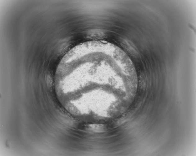 X0000095890371200802011111