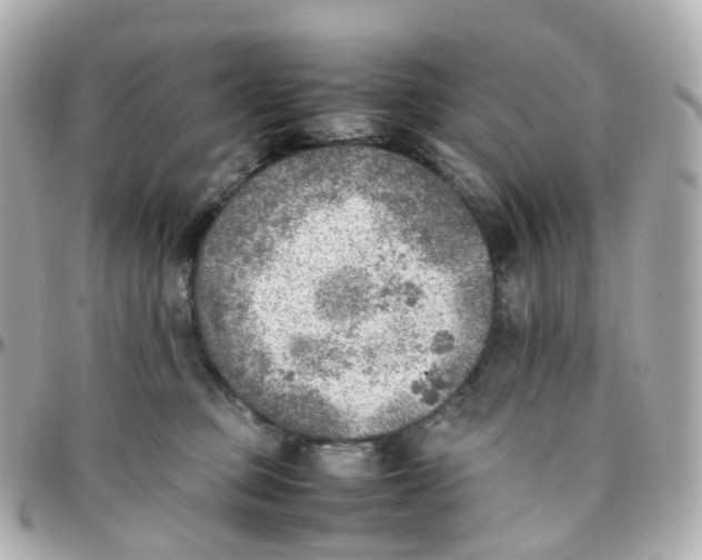 X0000095890373200802011112